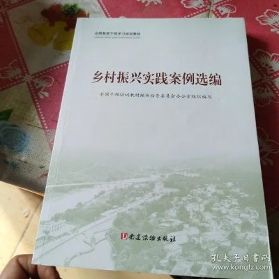 走中国特色乡村振兴之路—探索与实践