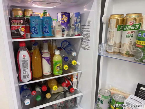 揭秘70以内大冰箱品牌排行榜，谁才是你的冷门英雄？