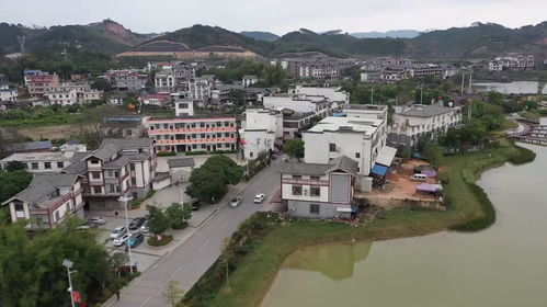 城乡差异大揭秘，城市与乡村生活大比拼