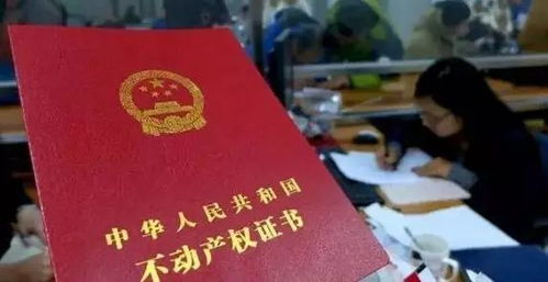 轻松入手乡村土地房产证，步骤详解与案例分享