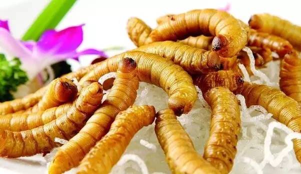 探寻美味桂花香—盘点那些让人欲罢不能的桂花味零食品牌