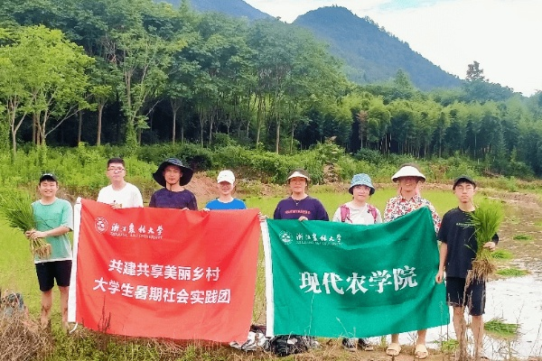 大学生助力美丽乡村建设，实践与探索之路