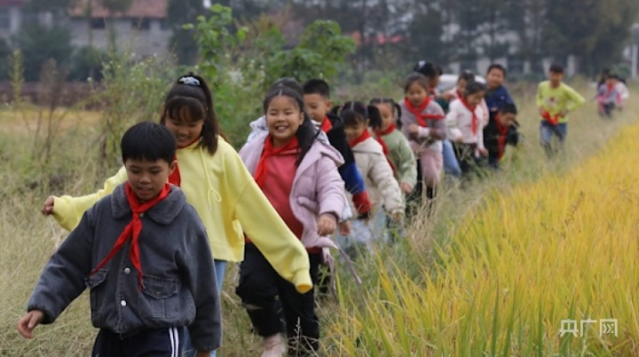 乡村小学生素质提升攻略，让梦想在田野中绽放