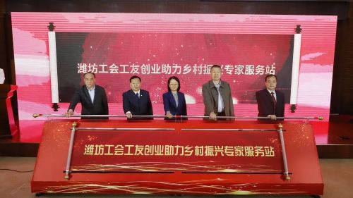 大学生创业助力乡村振兴，创新实践与成功案例分享