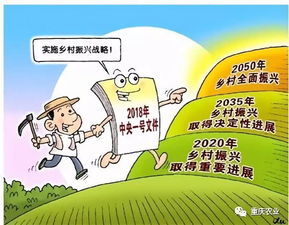 如何成为一名优秀的乡村振兴教师—实践与感悟