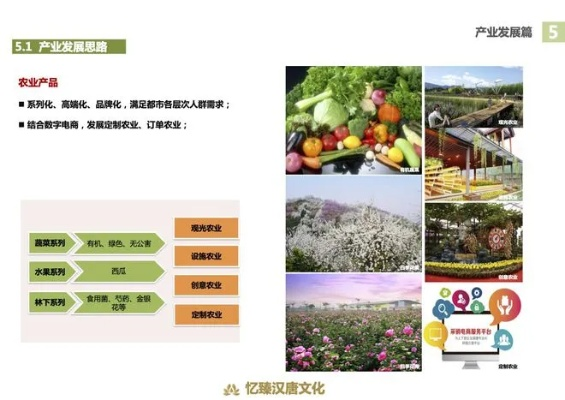 乡村一体化振兴，路径探索与实践案例