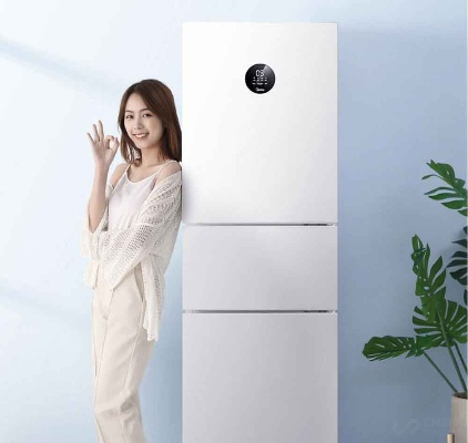盘点最省电的冰箱品牌，节能环保生活从冷开始！
