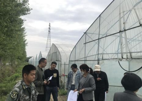 食用菌栽培助力乡村振兴，新模式、新案例解析