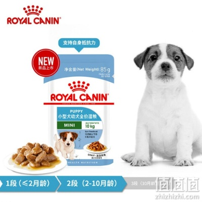 盘点那些让人心动的贵宠零食品牌，让你的爱宠享受星级待遇！