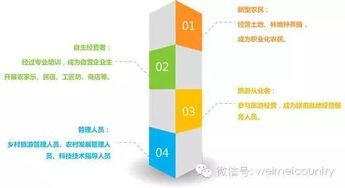 打造乡村旅游产业链，从资源整合到品牌塑造的全方位攻略