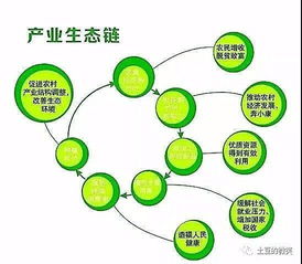 打造乡村旅游产业链，从资源整合到品牌塑造的全方位攻略