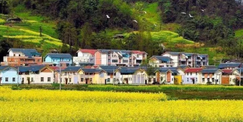 乡村建设材料，如何写好文章，让乡村建设故事生动起来