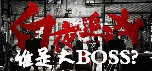 揭秘电视台播放的鸭绒被质量之谜