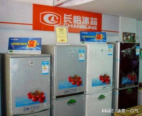 盘点那些让人回味无穷的老式冰箱品牌，哪一款是你的心头好？