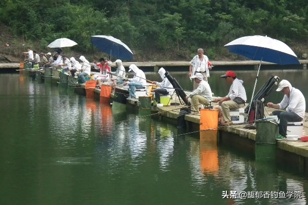 乡村钓鱼生意，如何打造渔乐无穷的盈利模式