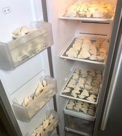 多层饺子盒冰箱专用品牌大盘点，让饺子保鲜更简单！