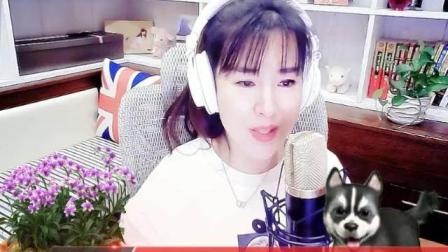 轻松找到紫菱917直播间，解锁直播新体验！