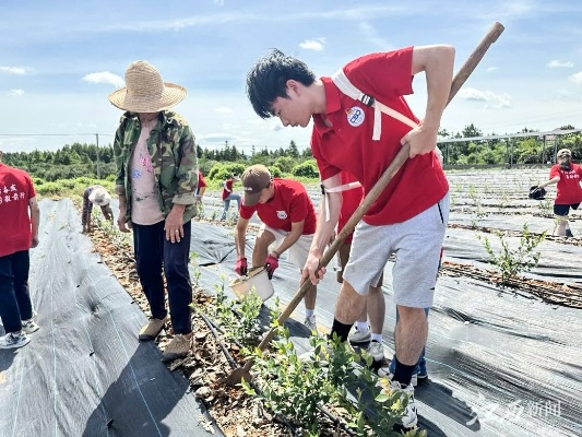 大学生如何助力乡村振兴—青春力量在行动