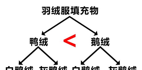 鸭绒被太蓬松的利弊分析及应对策略