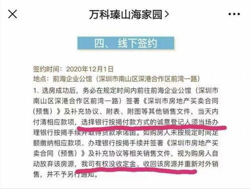 鸭绒被太蓬松的利弊分析及应对策略