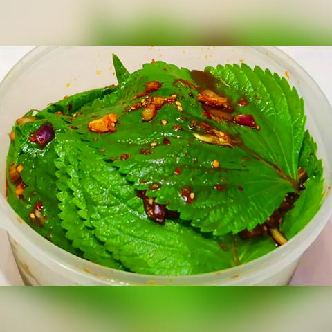 揭秘生腌海鲜冰箱—哪款品牌最受欢迎？
