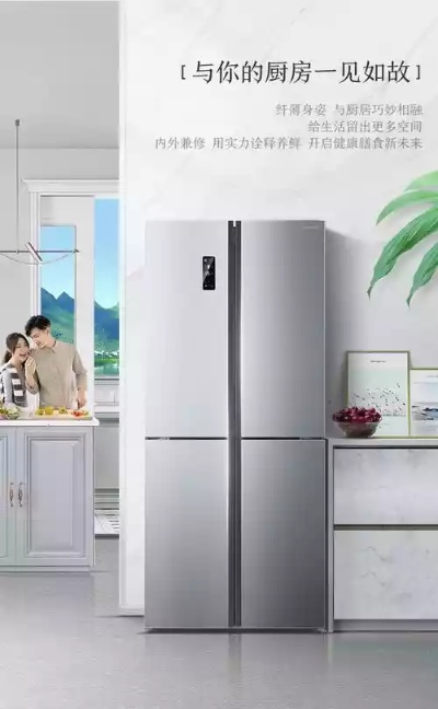 揭秘品牌双门一级变频冰箱，节能省电，生活更美好！