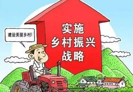 精准发力，振兴乡村—如何找准切入点助力乡村振兴
