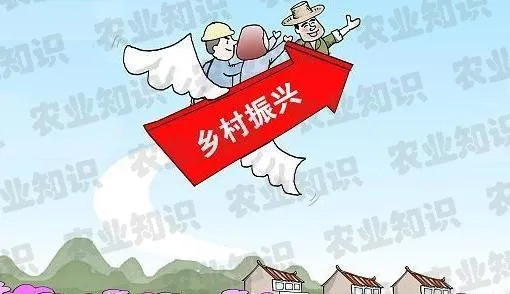 精准发力，振兴乡村—如何找准切入点助力乡村振兴