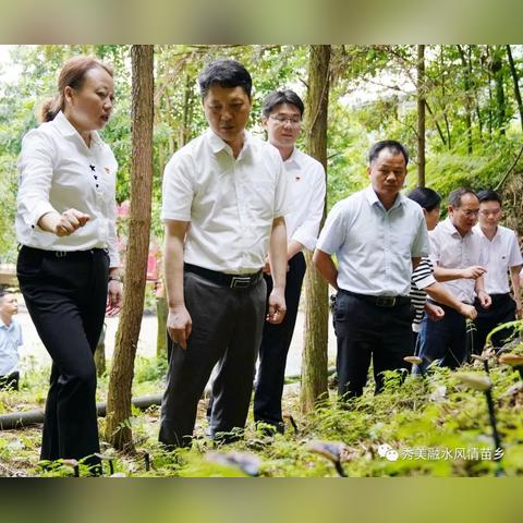 当好乡村纪检书记，助力乡村振兴—实操指南与案例分析