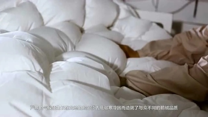 寻找温暖，揭秘鸭绒被店的秘密基地