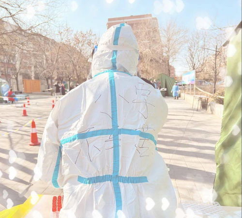 柔软鸭绒被，温暖相伴的冬日守护者