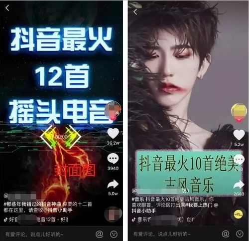 手机陌陌直播唱歌全攻略，轻松上镜，唱出你的风采！