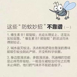 鸭绒被有气味怎么办？全方位攻略帮你解决烦恼