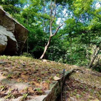 大学生返乡助力乡村振兴，青春力量在行动