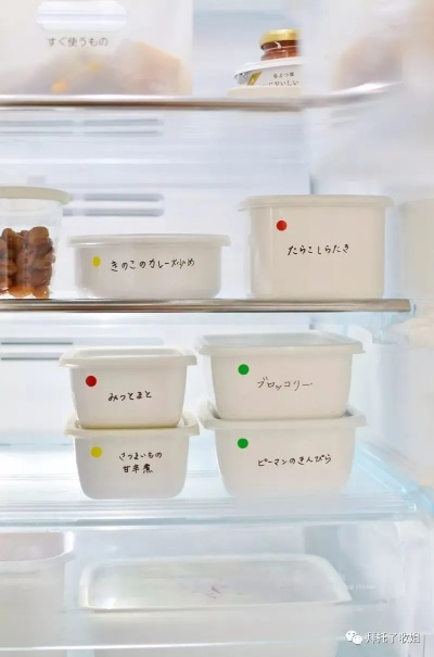 冰箱专用品牌保鲜盒—守护食物新鲜，打造健康生活