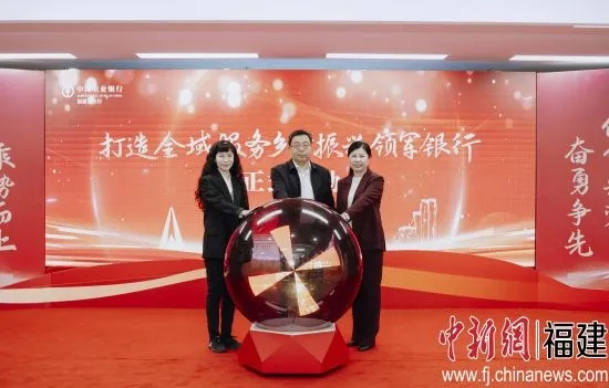 打造服务乡村振兴的领军银行，策略与实践