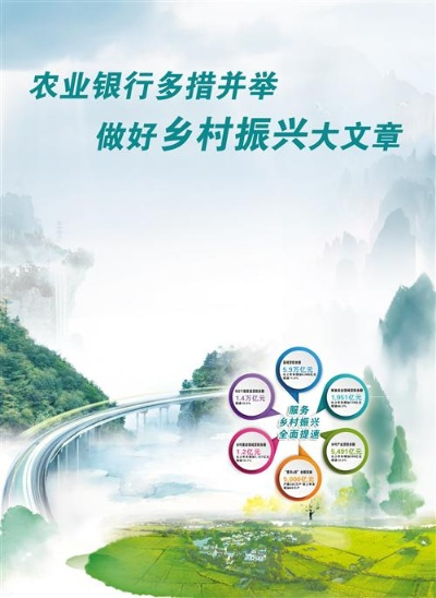 打造服务乡村振兴的领军银行，策略与实践