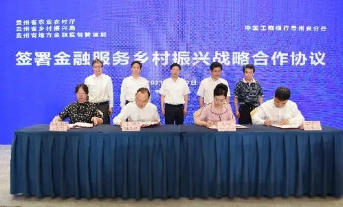 打造服务乡村振兴的领军银行，策略与实践