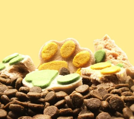 日式自制宠物零食品牌大盘点，让你的宠物也享受日式美味！