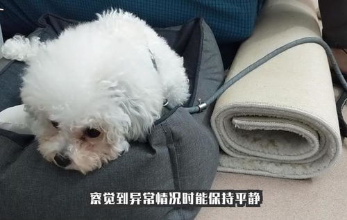 宜家鸭绒被异味大揭秘，如何解决这个让人头疼的问题？