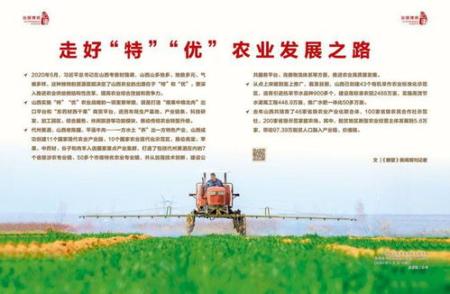 乡村振兴，产业兴旺之路—如何激活乡村产业发展活力