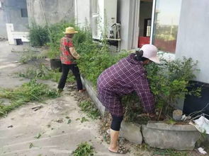 炎炎夏日，乡村旅游如何热起来？