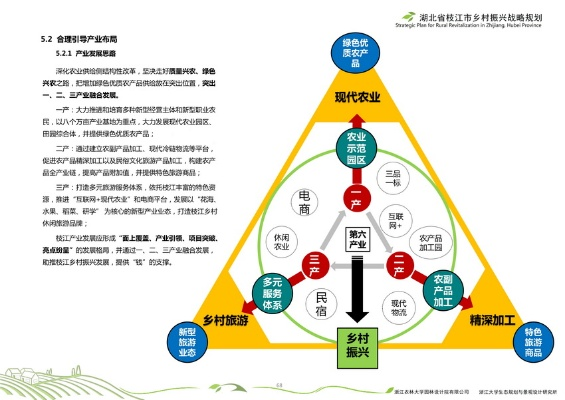 十四五规划如何助力乡村发展—全方位解读与案例分享