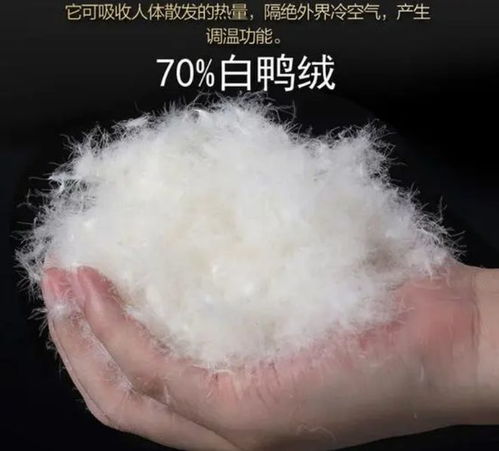 揭秘鸭绒被背后的加工奥秘