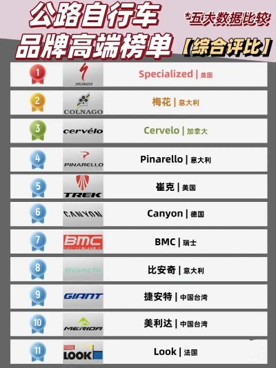 盘点十大良心公路车品牌，骑行者的品质之选！
