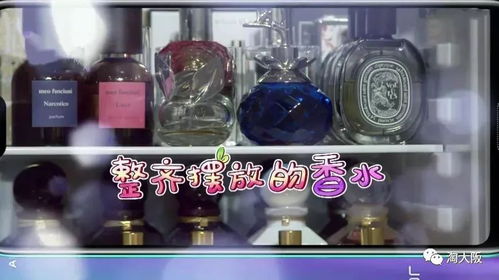 揭秘丽纯化妆品冰箱品牌排名，美丽保鲜的秘密武器！