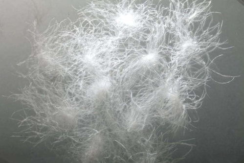 深圳地区使用鸭绒被的适宜性分析