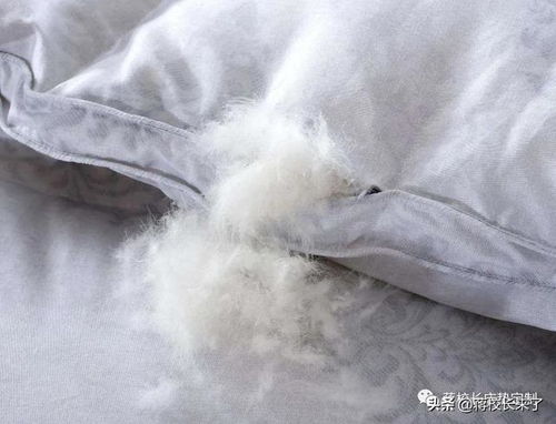 500克鸭绒被过冬，真的够用吗？深度解析！