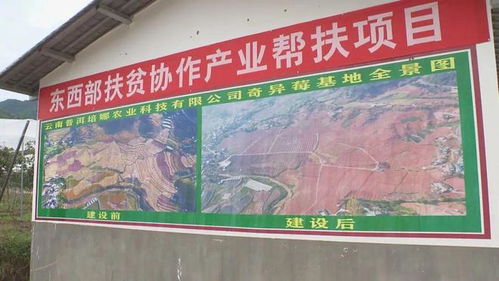 乡村公路经济效益分析，助力乡村振兴的金钥匙