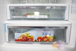 揭秘商用冰箱专用水饺盒品牌，让美食存储更专业！
